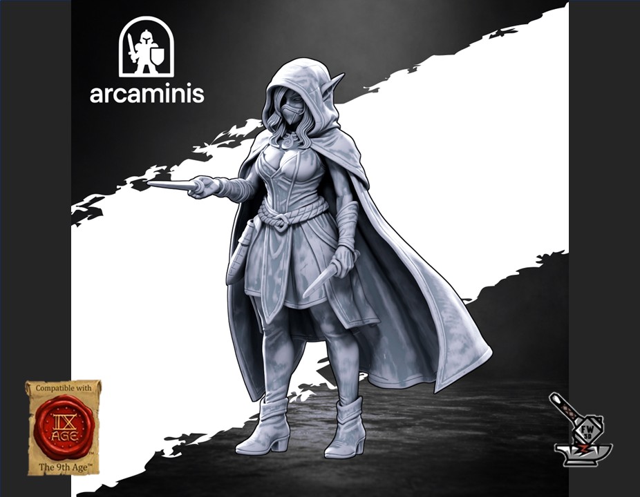 Elf Assassin – Image 2