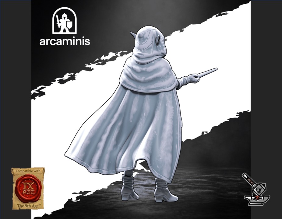 Elf Assassin – Image 5