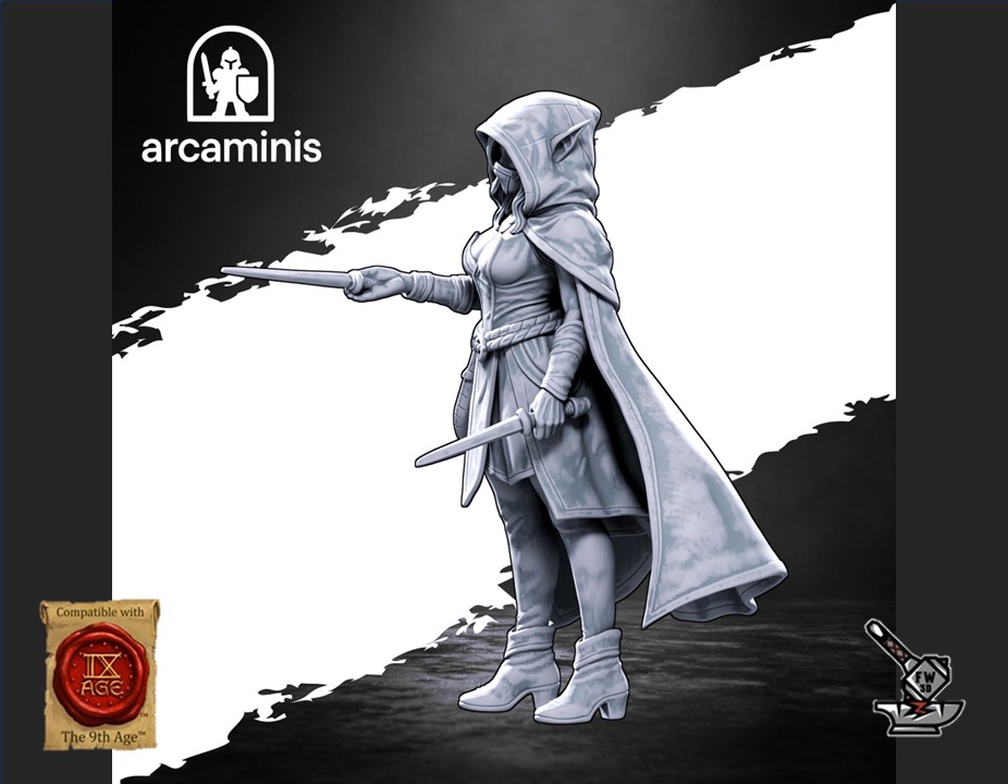 Elf Assassin – Image 4