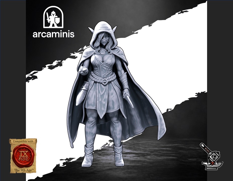 Elf Assassin – Image 3