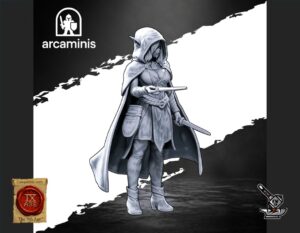 Elf Assassin