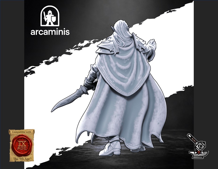 Kingdom Sentinel – Image 2